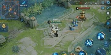 小鲁班最新爆料视频