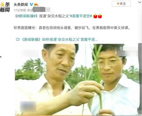 湖南台新闻爆料,揭秘某事件背后惊人真相  第3张