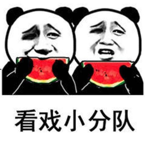 看戏吃瓜表情包下载免费,轻松逗乐你的朋友圈！  第1张